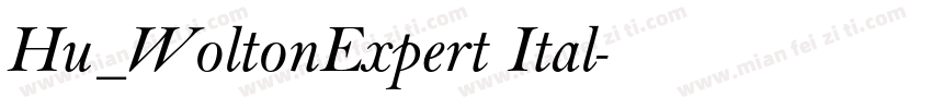 Hu_WoltonExpert Ital字体转换